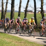 Bene, Merse und Basti im Feld